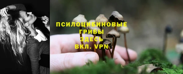 гашик Волосово