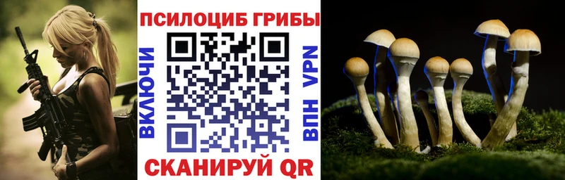 Псилоцибиновые грибы MAGIC MUSHROOMS  закладки  Серпухов 